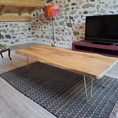 Renove Avec Charme, Cour Privee, Proche Puy-en-velay Et Tresors De La Haute-loire - Fr-1-582-473 Gospodarstwo wiejskie *