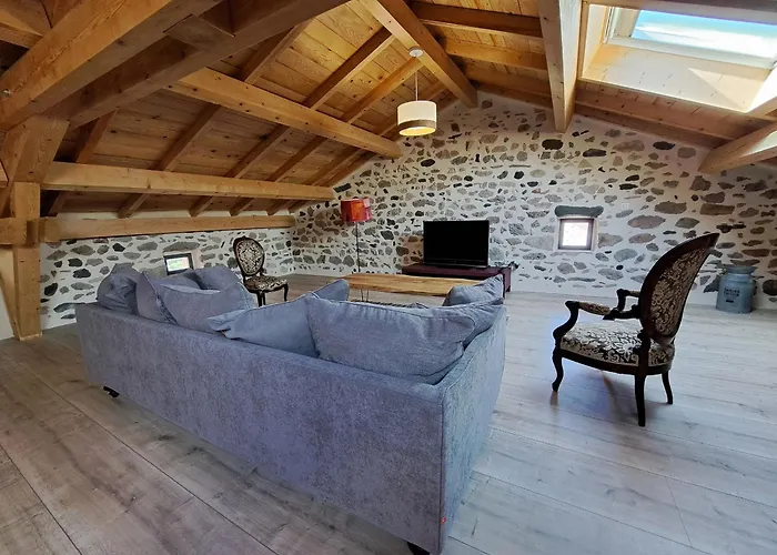 Renove Avec Charme, Cour Privee, Proche Puy-en-velay Et Tresors De La Haute-loire - Fr-1-582-473 *